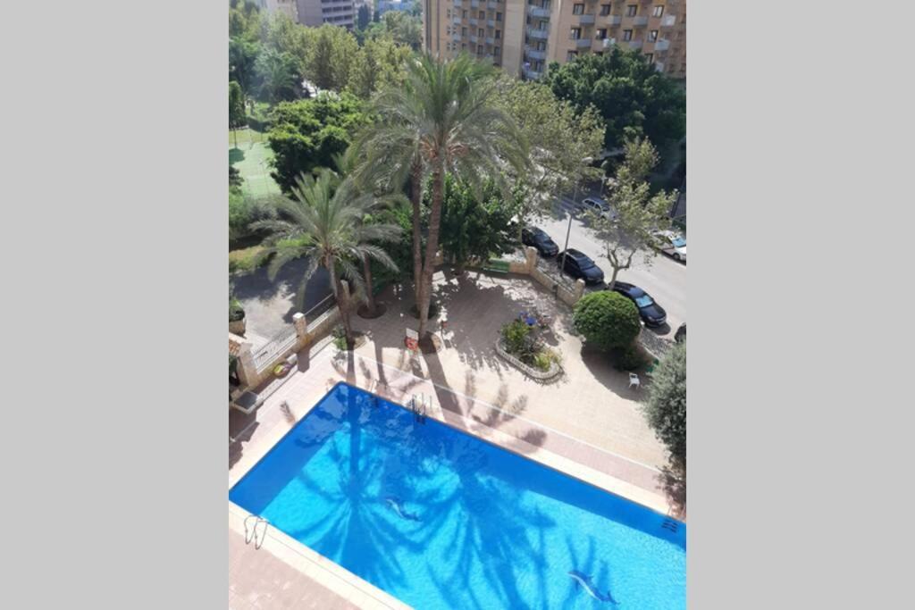 Apartment Moby Dick 3a Benidorm
